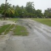 Not quite as bad as it used to be !