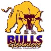 Bulls old logo
