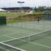 Apia Park Tennis Courts