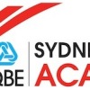 2013 Swans Academy Logo