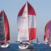 Geelong fleet 2015_Steb Fisher