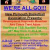 Development program poster