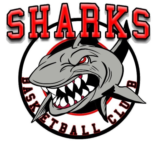 NEWS - Sharks Basketball Club - SportsTG