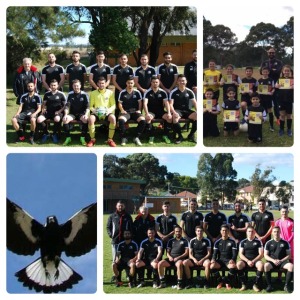 Magpies 2018