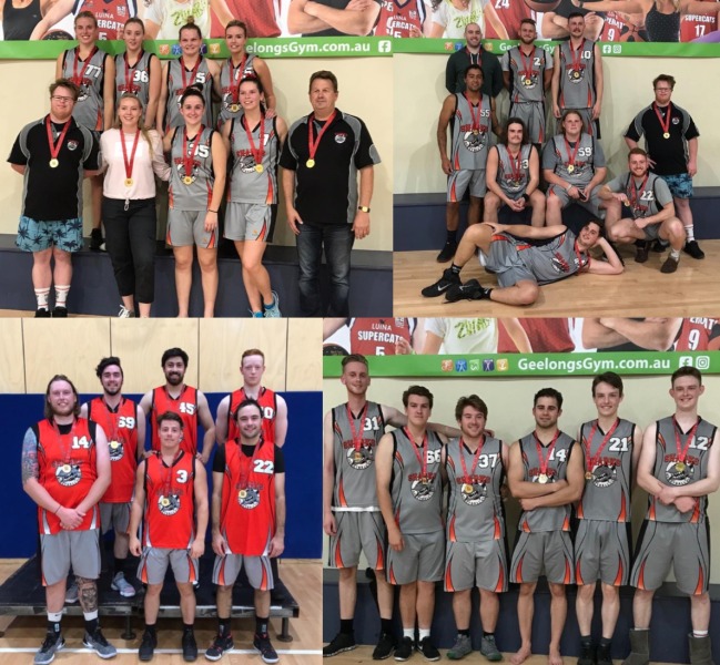 News sharks basketball club sportstg